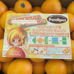 Food education lesson - 2013   Toyonaka municipal  Sho-Sone elementary school