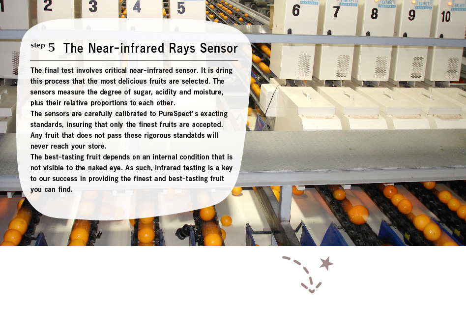 step5 The Near-infrared Rays Sensor: The final test involves critical near-infrared sensor. It is dring this process that the most delicious fruits are selected. The sensors measure the degree of sugar, acidity and moisture, plus their relative proportions to each other.
The sensors are carefully calibrated to PureSpect’s exacting standards, insuring that only the finest fruits are accepted. Any fruit that does not pass these rigorous standatds will never reach your store.
The best-tasting fruit depends on an internal condition that is not visible to the naked eye. As such, infrared testing is a key to our  
success in providing the finest and best-tasting fruit you can find.
