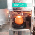 食育授業 - 2012年 豊中市立小曽根小学校