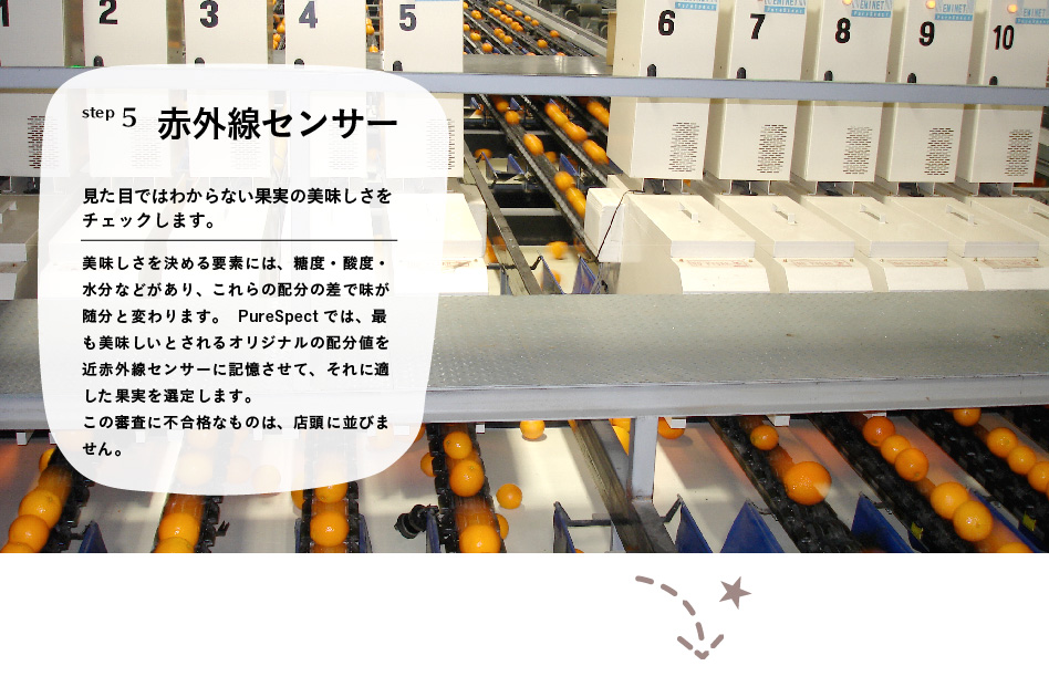 step5 赤外線センサー「見た目ではわからない果実の美味しさをチェックします。」美味しさを決める要素には、糖度・酸度・水分などがあり、これらの配分の差で味が随分と変わります。   PureSpectでは、最も美味しいとされるオリジナルの配分値を近赤外線センサーに記憶させて、それに適した果実を選定します。この審査に不合格なものは、店頭に並びません。